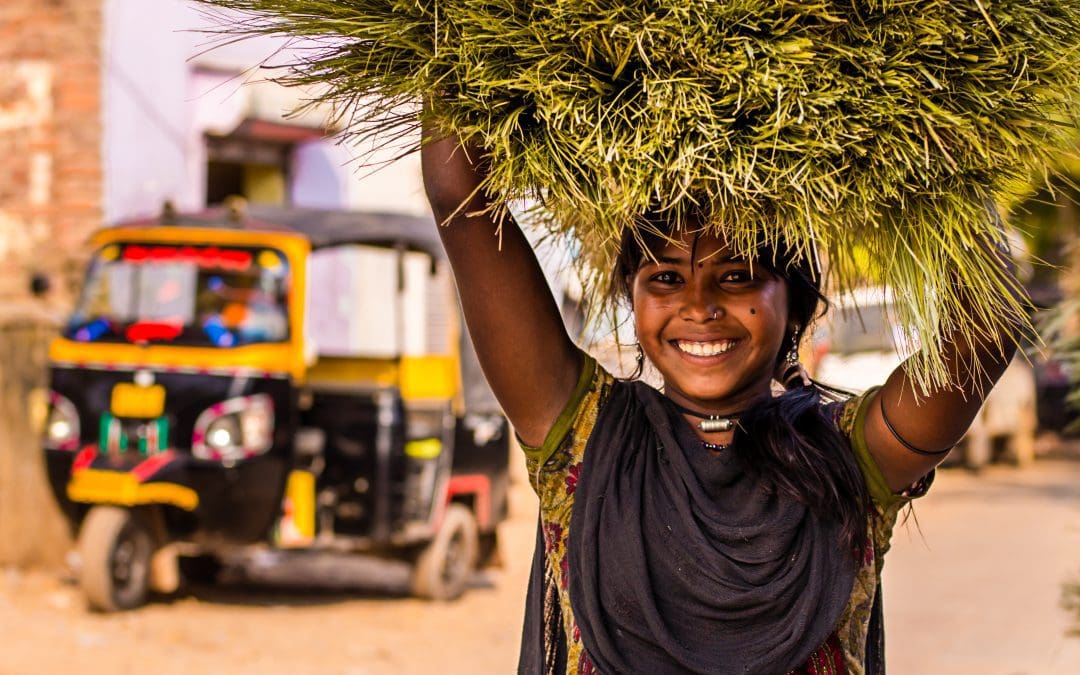 Inde, une aventure humaine de 13 000 km