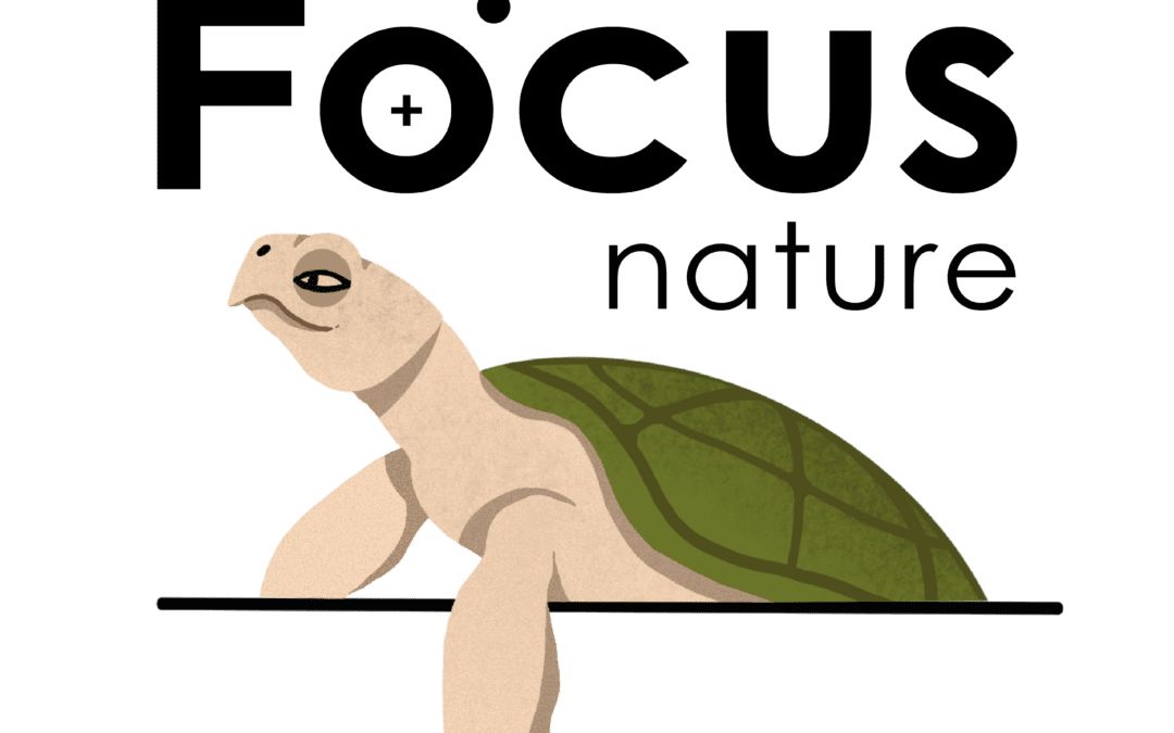 Focus Nature