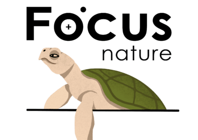 Focus Nature