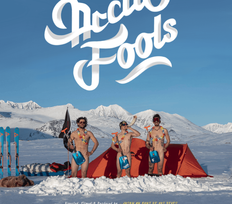 Les projections en plein air de The Arctic fools