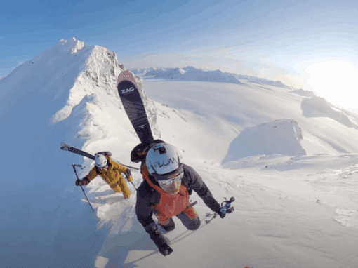 An arctic Journey