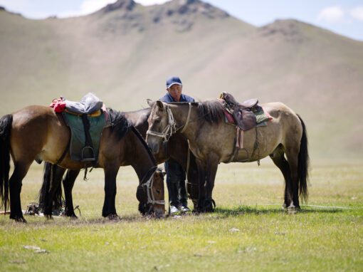 Nomades de Mongolie