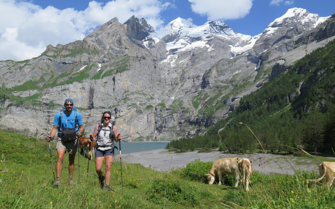 Le secret des Alpes