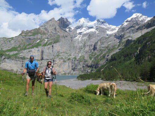Le secret des Alpes